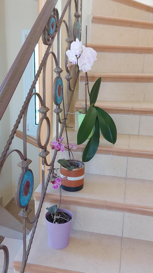 אלכסנדרופולי Magnificent View Villa מראה חיצוני תמונה